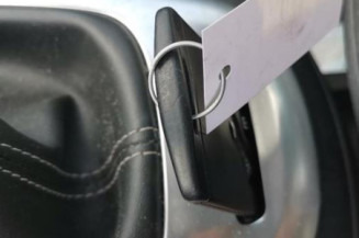 Interrupteur de leve vitre avant gauche RENAULT SCENIC 3