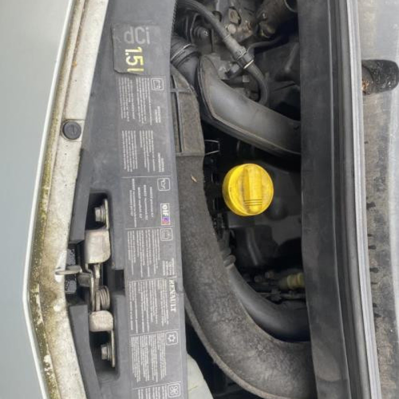 Poignee interieur arriere gauche RENAULT MODUS Photo n°20