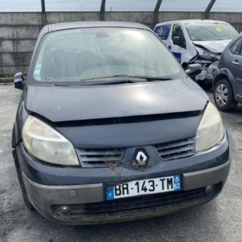 Leve vitre electrique arriere droit RENAULT SCENIC 2 Photo n°12