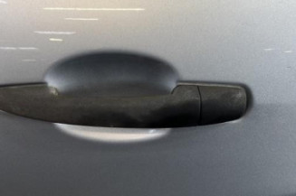 Porte arriere gauche CITROEN C3 2