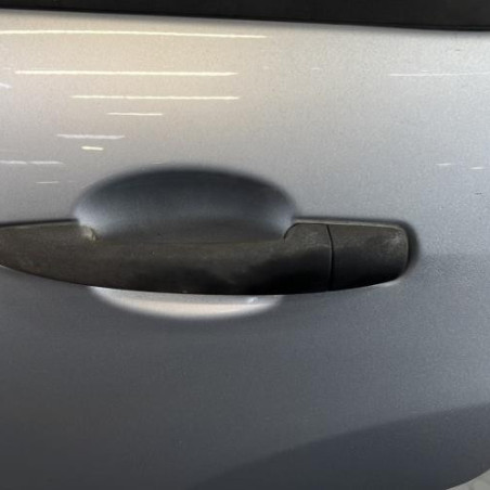Porte arriere gauche CITROEN C3 2