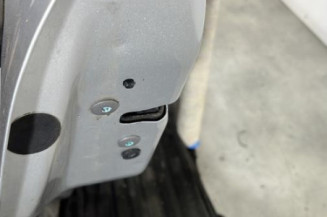 Porte arriere gauche CITROEN C3 2