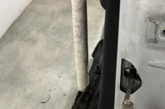 Porte arriere gauche CITROEN C3 2