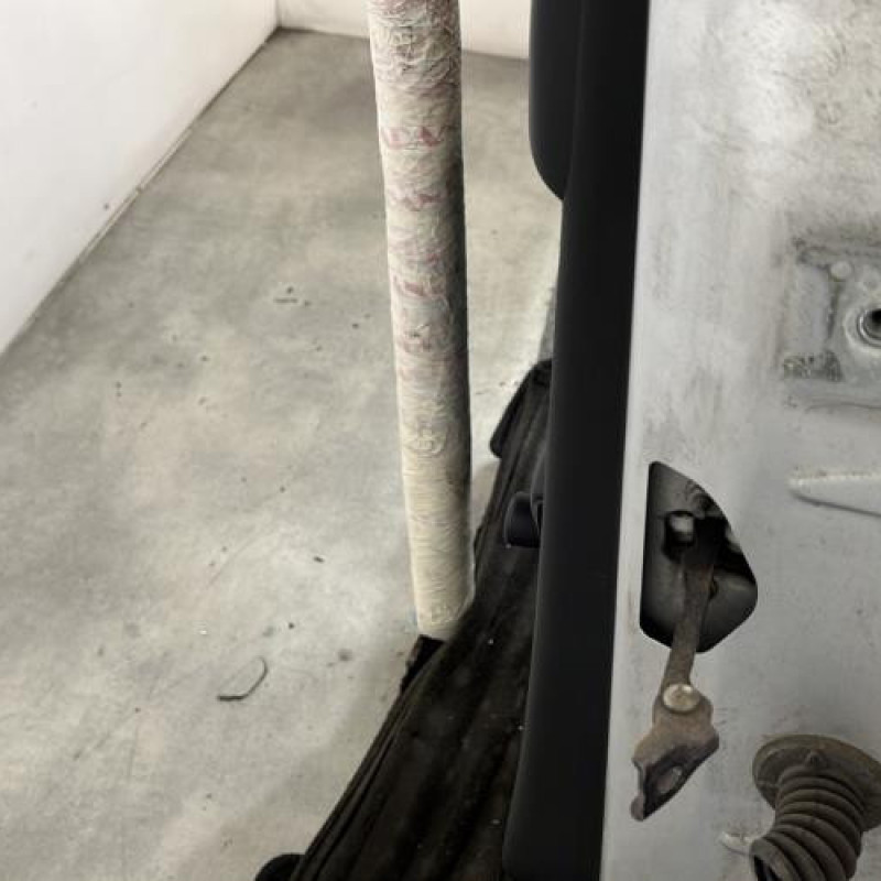 Porte arriere gauche CITROEN C3 2 Photo n°4