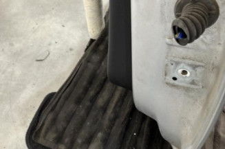 Porte arriere gauche CITROEN C3 2