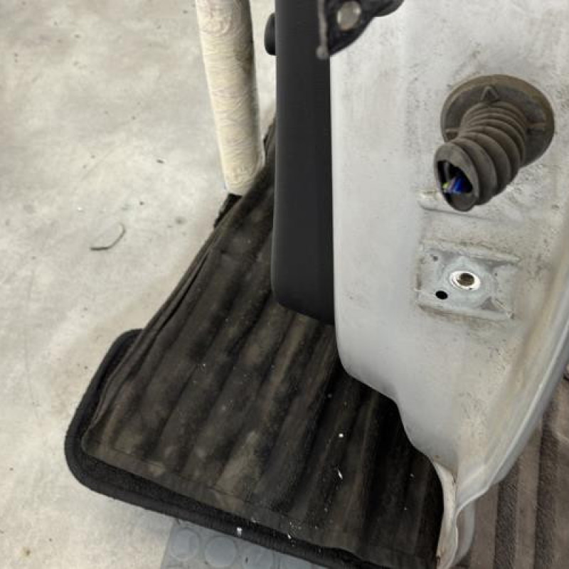 Porte arriere gauche CITROEN C3 2 Photo n°5