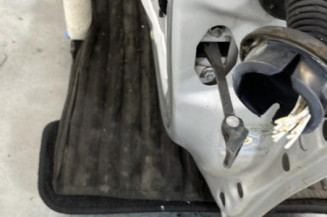 Porte avant gauche CITROEN C3 2