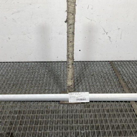 Baguette de porte avant droite VOLKSWAGEN GOLF PLUS Photo n°1