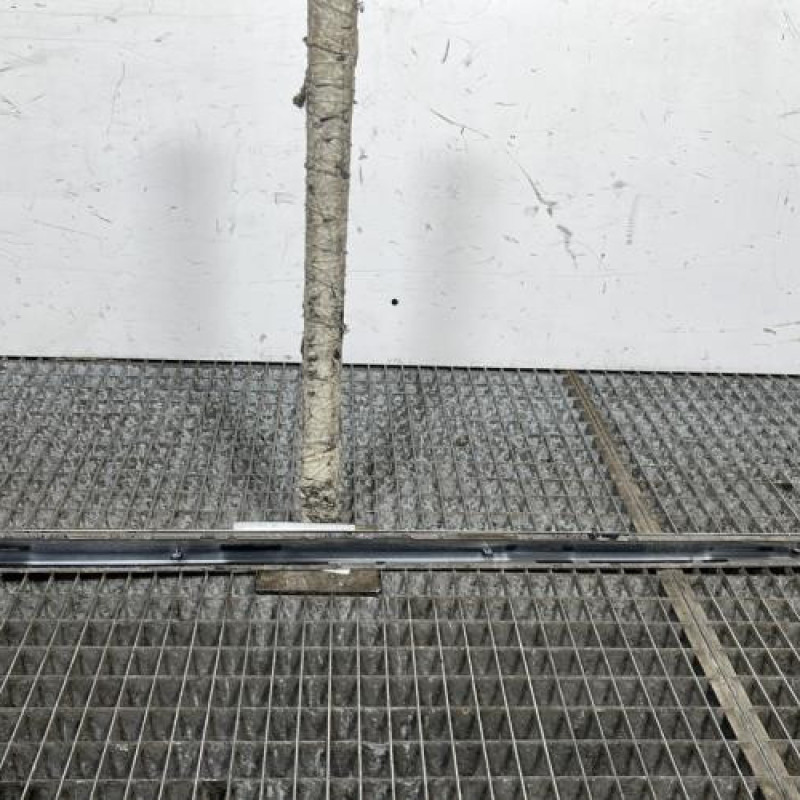 Baguette de porte avant droite VOLKSWAGEN GOLF PLUS Photo n°4