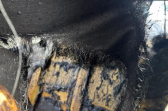 Custode arriere gauche VOLKSWAGEN TIGUAN 1