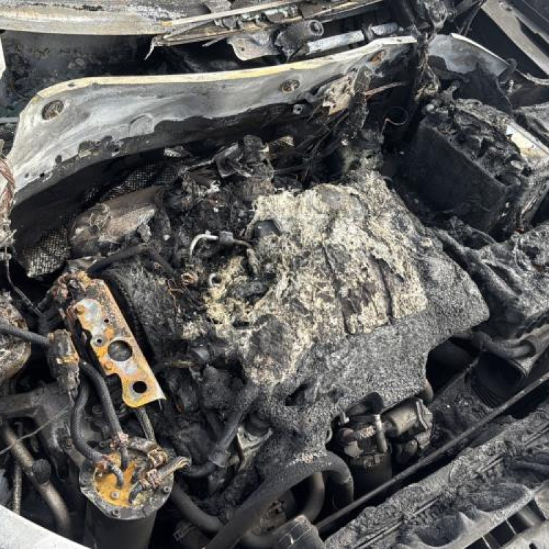 Custode arriere gauche VOLKSWAGEN TIGUAN 1 Photo n°20