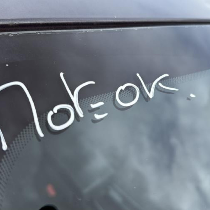 Custode avant droit (porte) PEUGEOT 508 1 Photo n°15