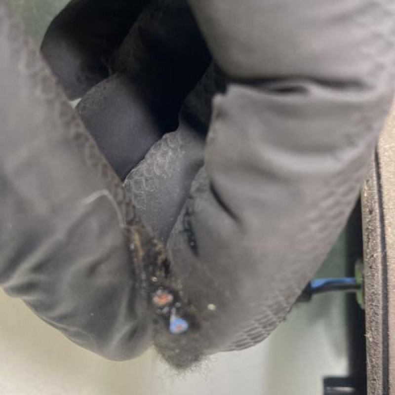 Feu arriere secondaire gauche (feux) RENAULT SCENIC 3 Photo n°3