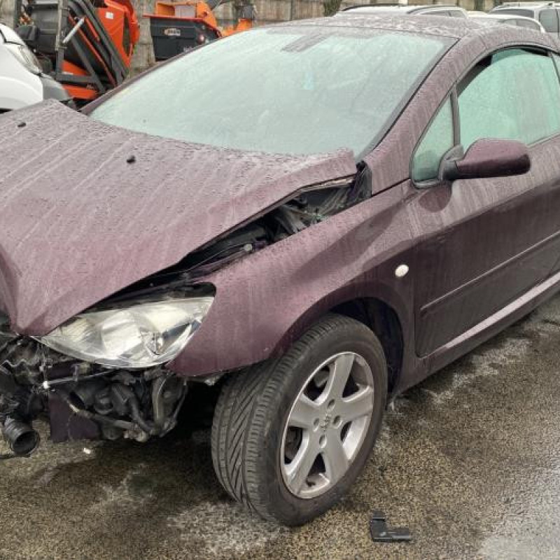 Custode avant droit (porte) PEUGEOT 307 Photo n°5