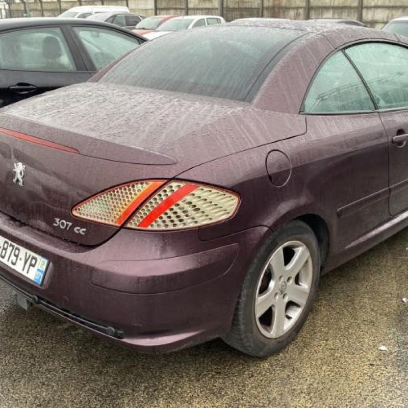 Custode avant droit (porte) PEUGEOT 307 Photo n°7