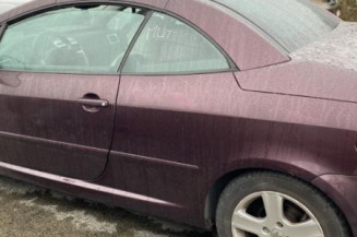 Custode avant droit (porte) PEUGEOT 307