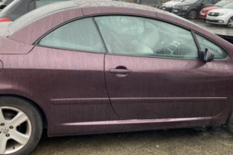 Custode avant droit (porte) PEUGEOT 307