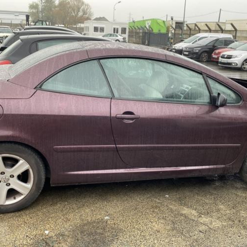 Custode avant droit (porte) PEUGEOT 307 Photo n°12