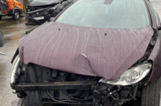 Custode avant droit (porte) PEUGEOT 307