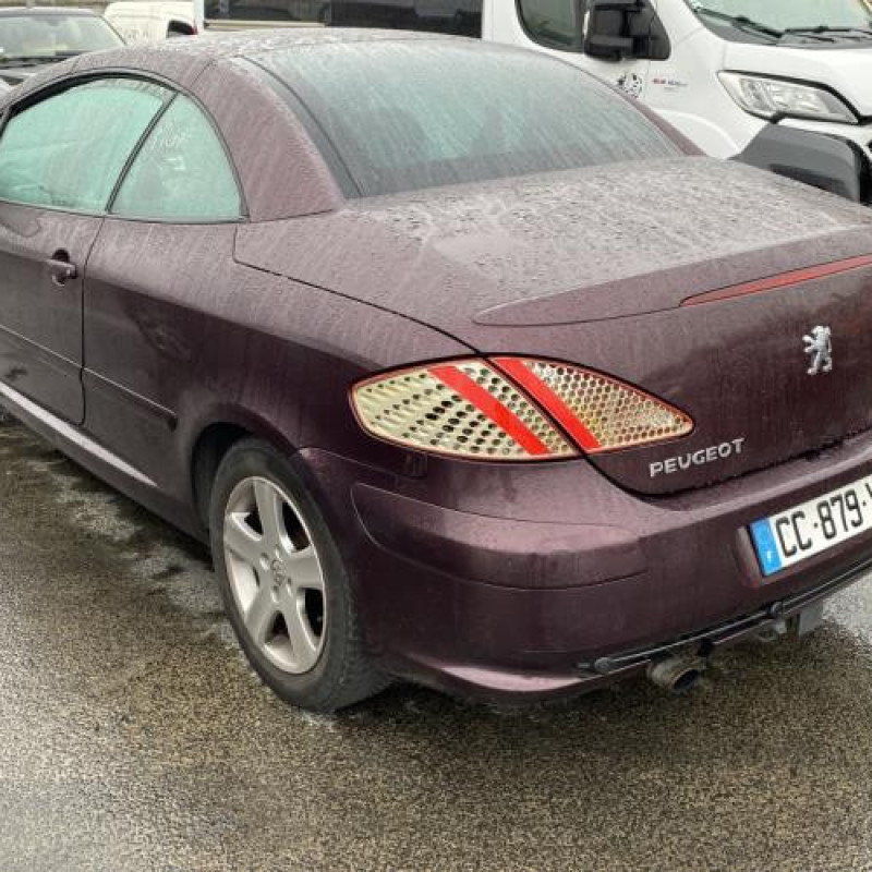 Custode avant gauche (porte) PEUGEOT 307 Photo n°8