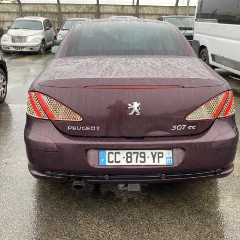 Custode avant gauche (porte) PEUGEOT 307 Photo n°9