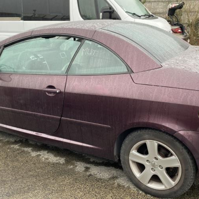Custode avant gauche (porte) PEUGEOT 307 Photo n°11