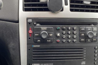 Custode avant gauche (porte) PEUGEOT 307