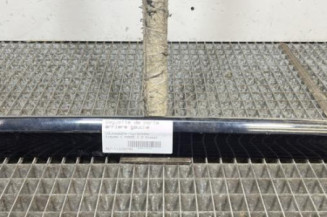 Baguette de porte arriere gauche  VOLKSWAGEN TIGUAN 1 Photo n°1