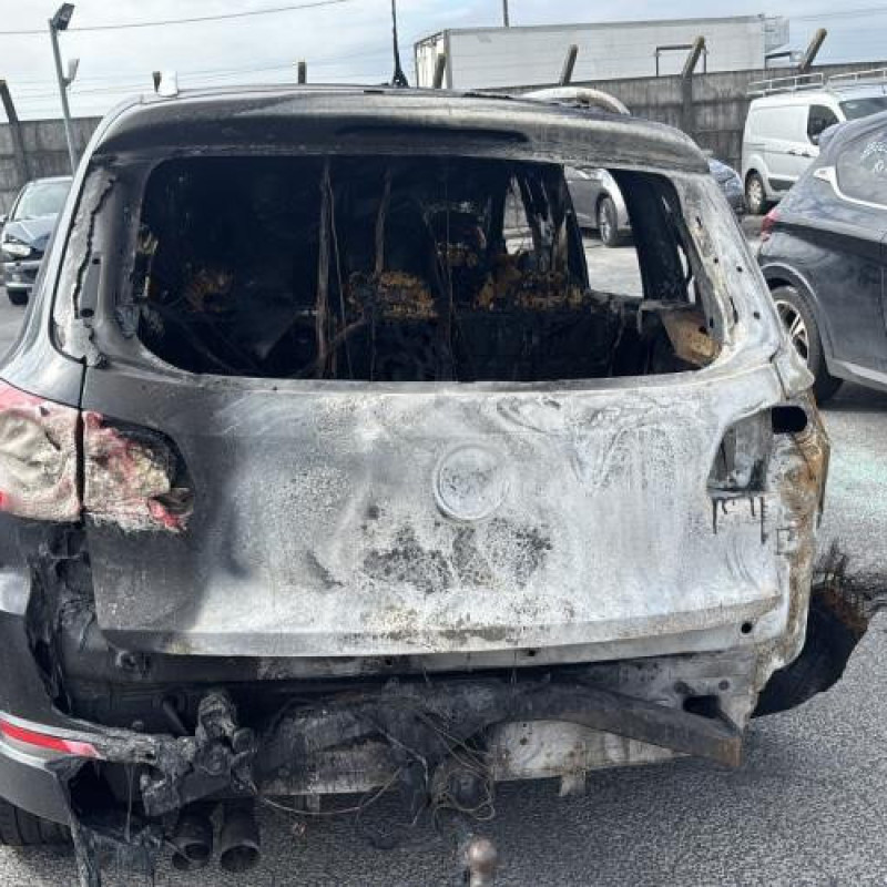 Baguette de porte arriere gauche  VOLKSWAGEN TIGUAN 1 Photo n°9