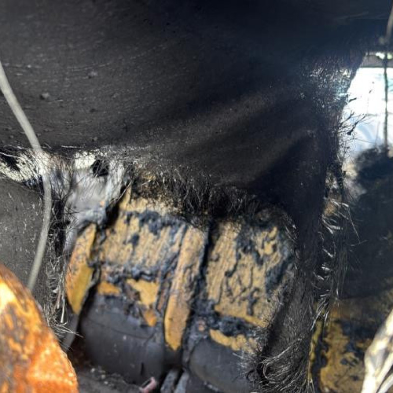 Baguette de porte avant gauche VOLKSWAGEN TIGUAN 1 Photo n°15