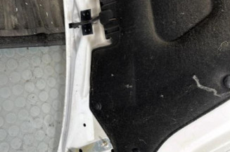 Capot PEUGEOT PARTNER 2