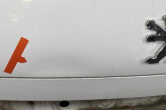Malle/Hayon arriere PEUGEOT 207