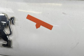 Malle/Hayon arriere PEUGEOT 207