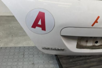 Malle/Hayon arriere PEUGEOT 207