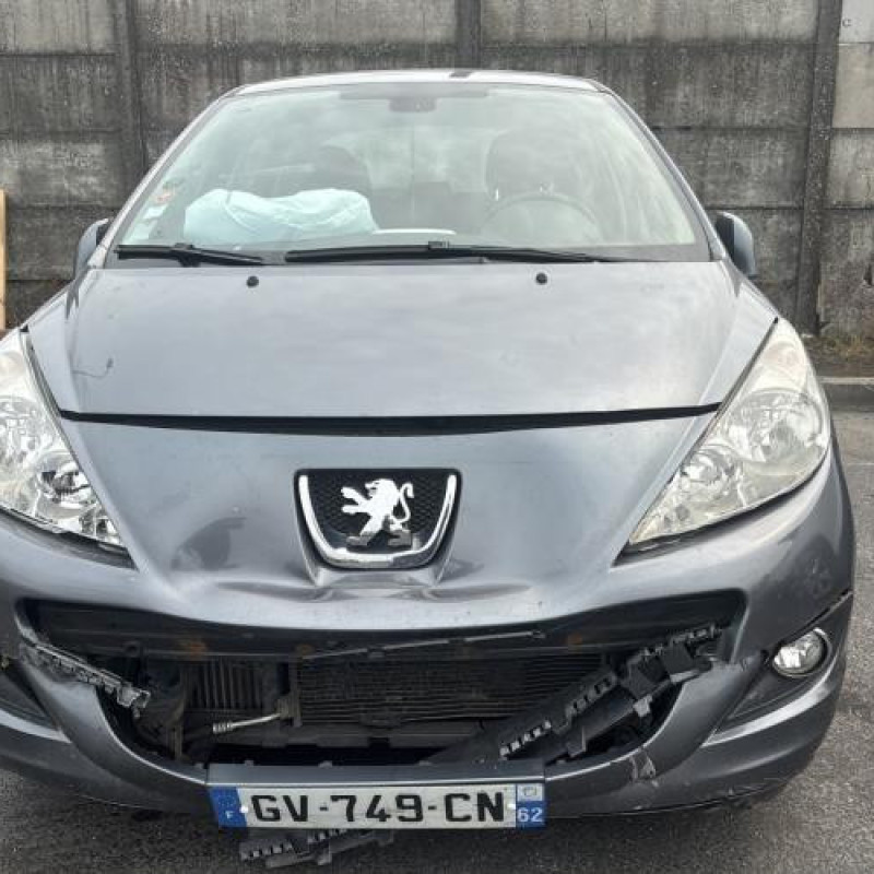 Feu arriere principal gauche (feux) PEUGEOT 207 Photo n°11