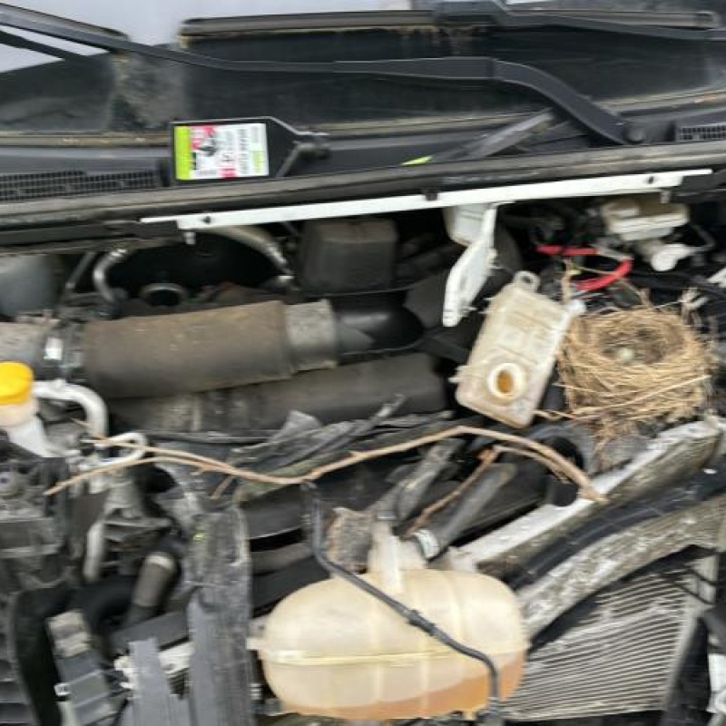 Cardan droit (transmission) RENAULT TRAFIC 3 COURT Photo n°19