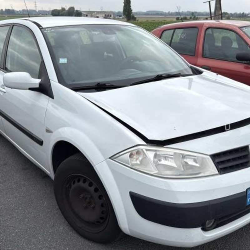 Feu arriere principal gauche (feux) RENAULT MEGANE 2 Photo n°6