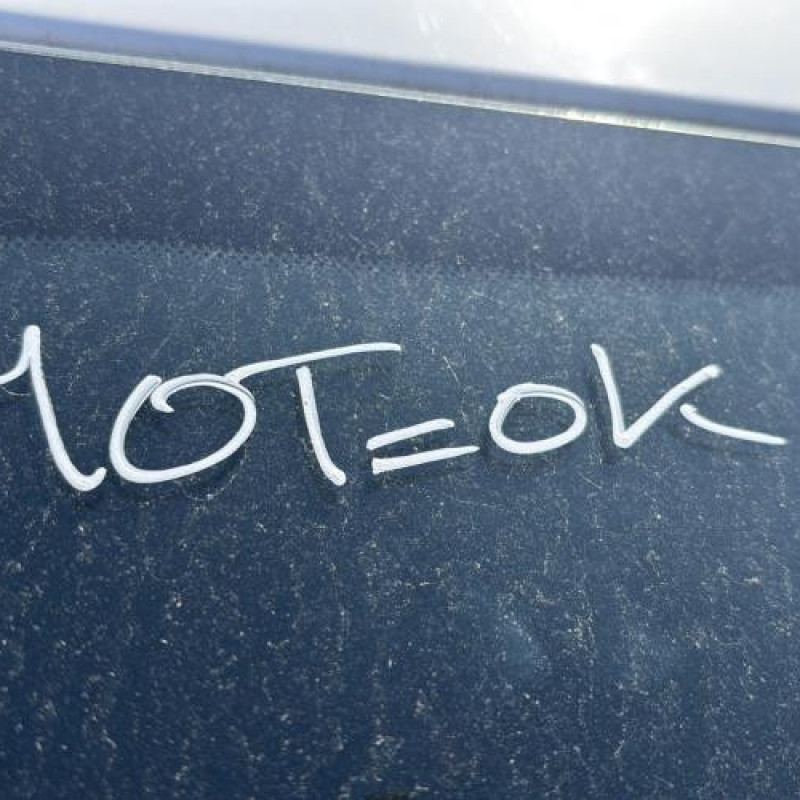 Feu arriere principal gauche (feux) CITROEN DS3 Photo n°20