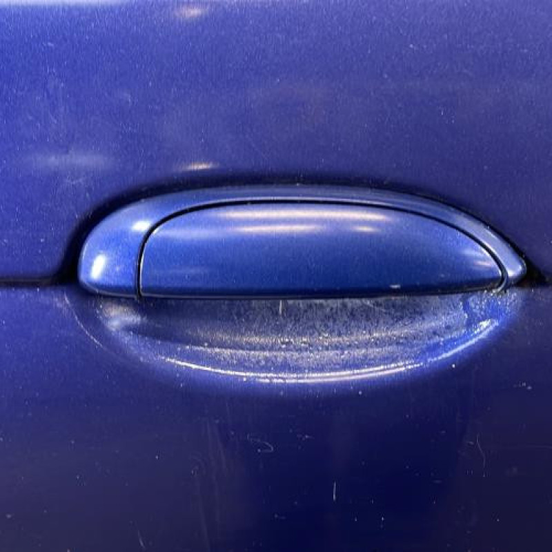 Porte avant droit RENAULT SCENIC 1 Photo n°2