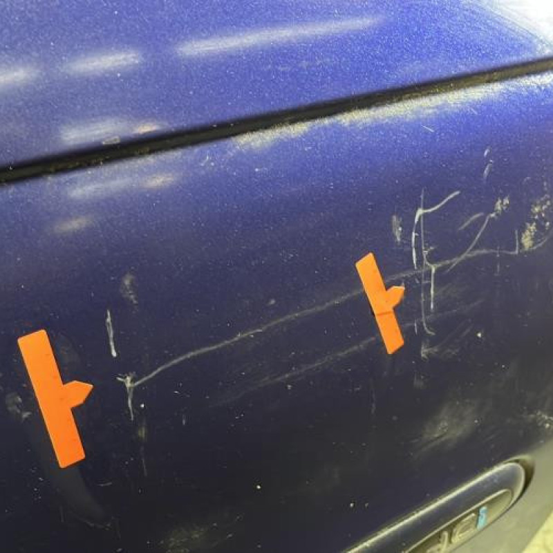 Porte avant droit RENAULT SCENIC 1 Photo n°4