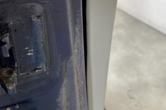 Porte avant droit RENAULT SCENIC 1