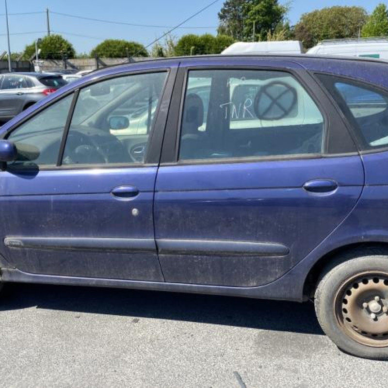 Porte avant droit RENAULT SCENIC 1 Photo n°13