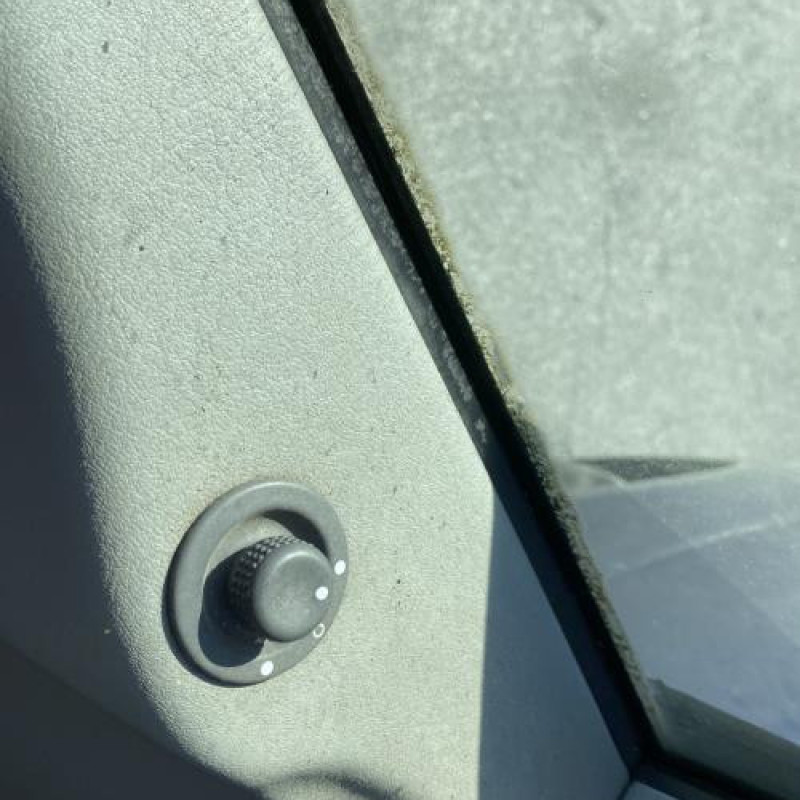 Porte avant droit RENAULT SCENIC 1 Photo n°18