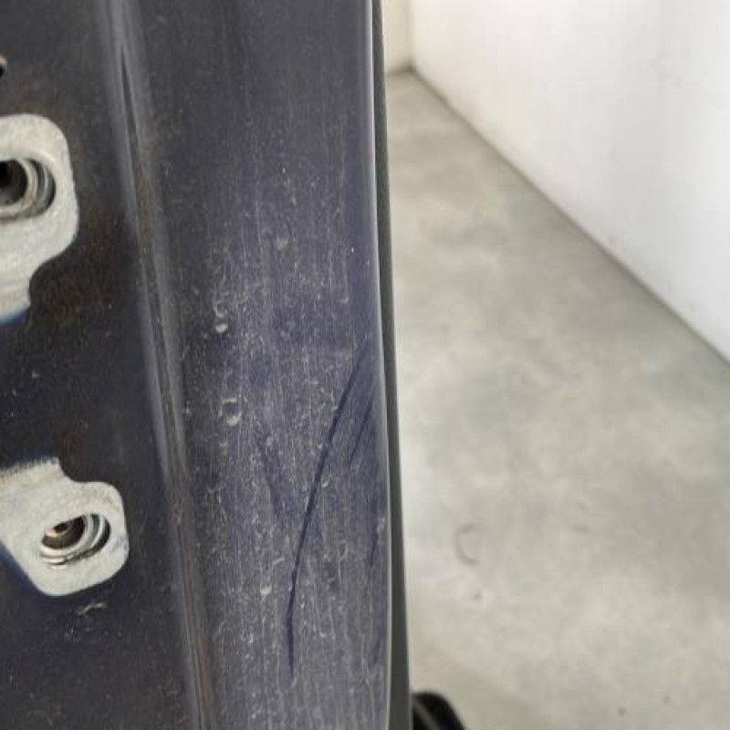 Porte arriere droit DACIA LODGY Photo n°6