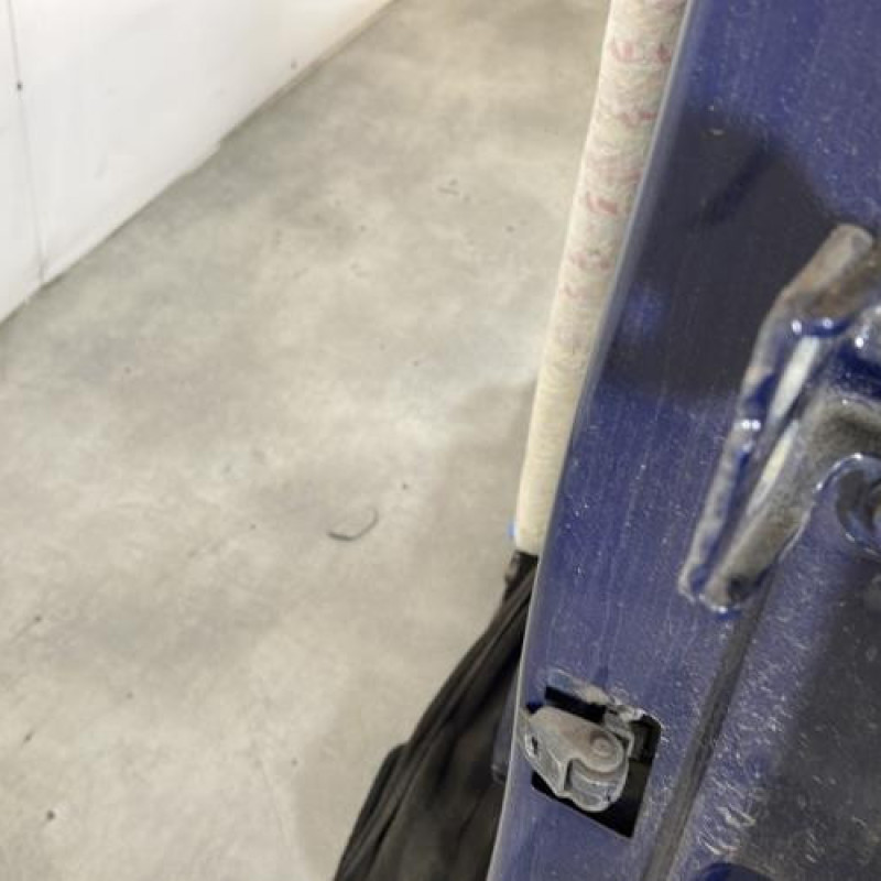 Porte arriere gauche DACIA LODGY Photo n°3