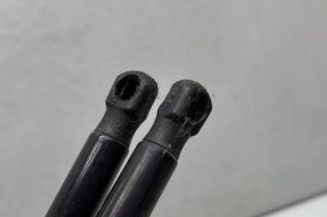 Verin de coffre PEUGEOT 3008 1