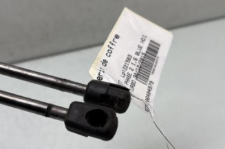 Verin de coffre PEUGEOT 3008 1