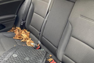 Interrupteur de leve vitre arriere gauche VOLKSWAGEN GOLF 8