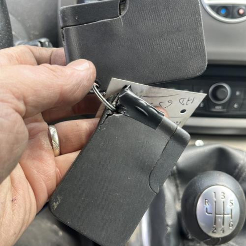 Custode avant droit (porte) RENAULT SCENIC 2 Photo n°14