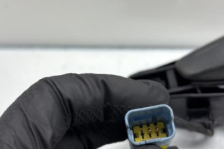 Poignee porte avant gauche DS DS5